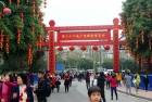 带你观赏第二十二届广州园林博览会