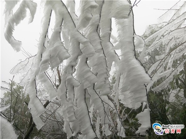 　韶关乐昌部分区域出现“冰挂”奇观 千树万树冰花开