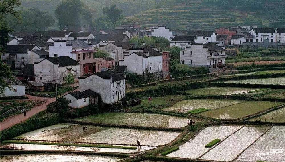 15、2002年，中国美丽的村庄婺源.jpg