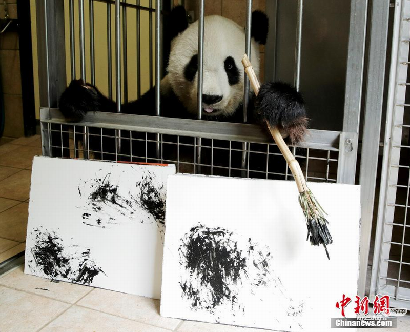 大熊猫作画 一幅卖数千元