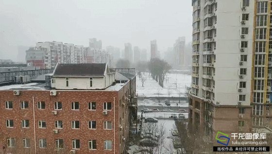 动图新闻|在北京，慢慢地听雪落下的声音