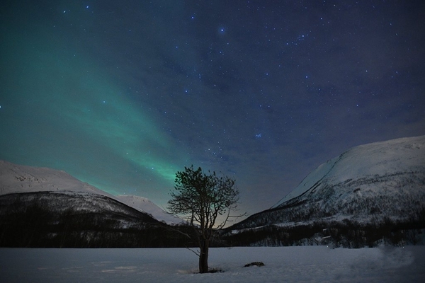 摄影师拍挪威北极光 绿光浮动宛若幻境