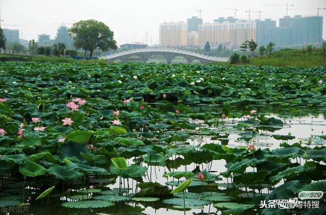 广东梅州碧道工程，包含公园、文化广场、亲水步道，护...